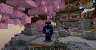 MC Oasis is a great place to play Demon Slayer (Image via MC Oasis)
